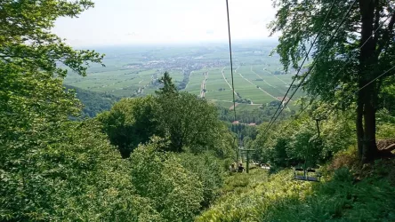 Talfahrt Rietburgbahn (© Anita Ballweber, SÜW e.V.)