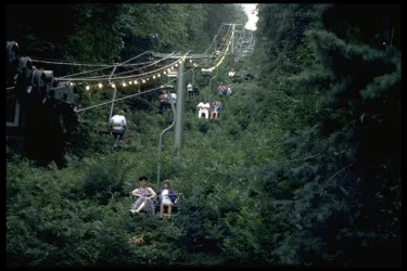 Eine Seilbahn fährt durch eine dicht bewachsene Landschaft. Menschen sitzen in der Seilbahn und genießen die Aussicht.