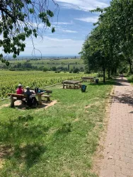 Aussicht Picknickplatz, Edenkoben