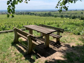 Picknickplatz Edenkoben