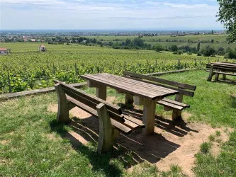Picknickplatz Werderberg, Edenkoben