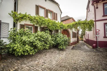 Stadt Edenkoben (© Verein SÜW, T. Kujat)