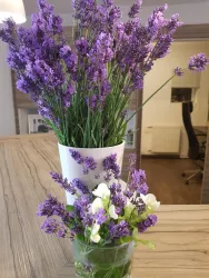 Pfälzer Lavendel an der Rezeption