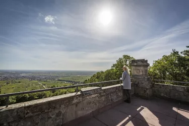 Aussicht Friedensdenkmal (© Verein SÜW Edenkoben, T. Kujat)