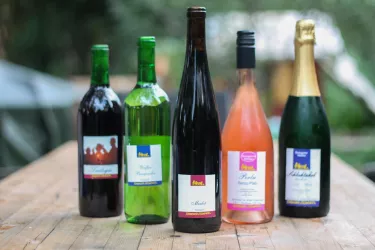 Weine Schneider Beiwinkel (© Weingut Schneider-Beiwinkel)