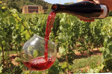 Wein (© Weingut Schneider-Beiwinkel)