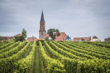 Protestantische Kirche Edenkoben