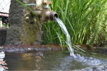 Ein Wasserhahn aus Messing sprudelt Wasser in einen kleinen Teich. Um ihn herum wachsen grüne Pflanzen.