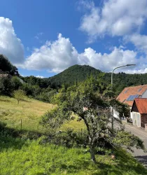 Aussicht (© Archiv Haus-amBrunnen.de)
