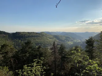Blick auf den Pfälzerwald