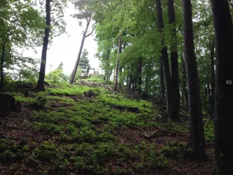 Kappelstein bei Nothweiler (© Jacques Noll)