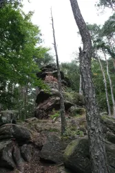 Mäuerle (© Jacques Noll)