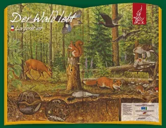 Waldlehrpfad Nothweiler (© Tourist-Information Dahner Felsenland)