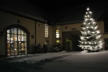Ein festlich geschmückter Weihnachtsbaum steht vor einem Gebäude bei Nacht. Der Boden ist mit weißem Schnee bedeckt.