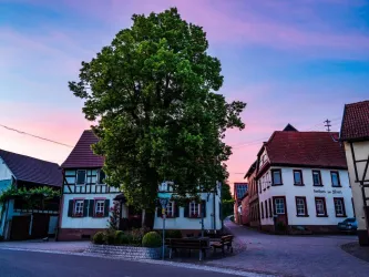 Eine ruhige Straße mit traditionellen Fachwerkhäusern und einem großen Baum. Der Himmel zeigt sanfte Farben bei Sonnenuntergang.