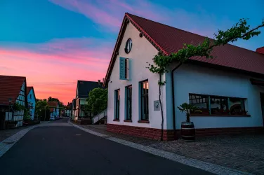 Weingut Stadler Dierbach (© Weingut Stadler)
