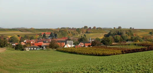 Dierbach1 (© Archiv Tourismusverein SÜW Bad Bergzabern e.V.)