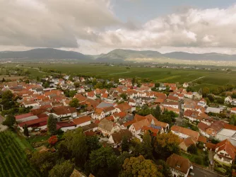 Luftansicht Walsheim