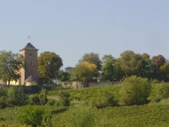 Schlossgarten