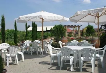Terrasse (© Weingut Schlipp-Rohrbach)