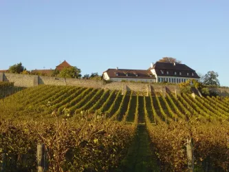 Herxheim am Berg - Wehrmauer Bild 1 (© Urlaubsregion Freinsheim)