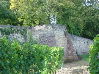 Herxheim am Berg - Wehrmauer Bild 2 (© Urlaubsregion Freinsheim)