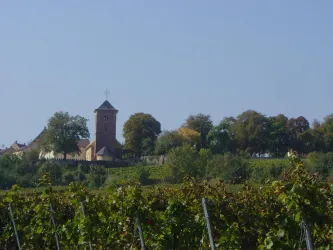 Scxhlossgarten (© Urlaubsregion Freinsheim)