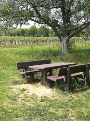 Rastpaltz am Honigsackweg (© Urlaubsregion Freinsheim)