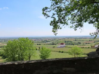 Vom Balkon der Pfalz (© EM Urlaubsregion Freinsheim)