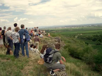 Felsenbergführung (© Urlaubsregion Freinsheim)