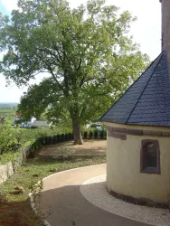 Herxheim am Berg - St. Jakob Kirche Bild 3 (© Urlaubsregion Freinsheim)