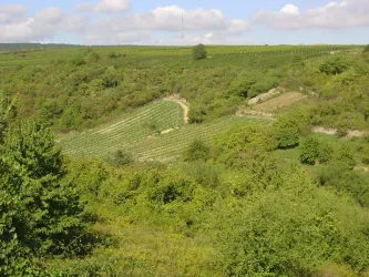 Herxheim am Berg - Berntal Bild 1 (© Urlaubsregion Freinsheim)