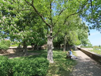 Schlossgarten Bild 1 (© Urlaubsregion Freinsheim)