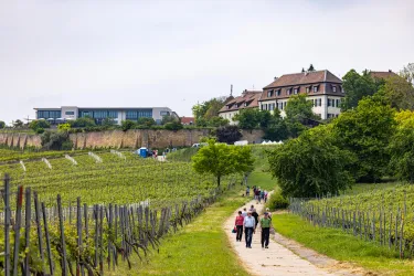 Kuiln. Wanderung (© Pfalztouristik/Heimatlichter GmbH)