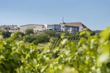 Die Winzergenossenschaft von Herxheim am Berg, also das Gebäude, von weiter Ferne.