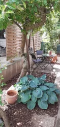 Sitzecke im Garten