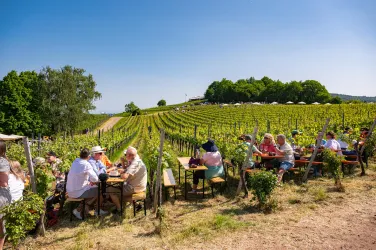 Ein sonniger Tag in einem Weinberg mit Menschen, die an Tischen sitzen und genießen. Die Weinreben erstrecken sich bis zum Horizont.