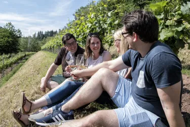 Eine Gruppe von Freunden sitzt im Weinberg und genießt Getränke. Die Sonne scheint und die Umgebung ist grün und einladend.