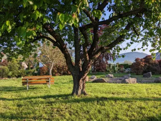 Picknickplatz Birkweiller