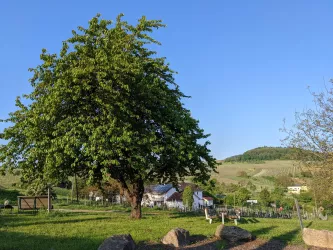 Picknicken mit Aussicht auf den Pfälzerwald