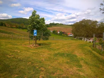 Wohnmobilstellplatz Weingut Herrenbergerhof II