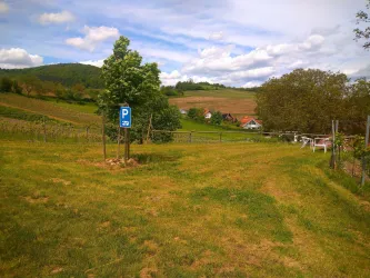 Stellplätze direkt am Weinberg (© Weingut Herrenbergerhof)