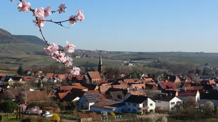 Protestantische Kirche zu Mandelblüte