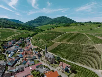 Kastanienbusch bei Birkweiler
