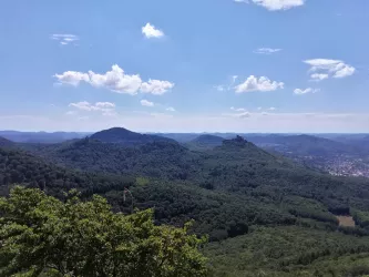 Von links nach rechts: Münz, Anebos und Trifels