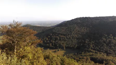 Ausblick Richtung Rheinebene im Spätsommer