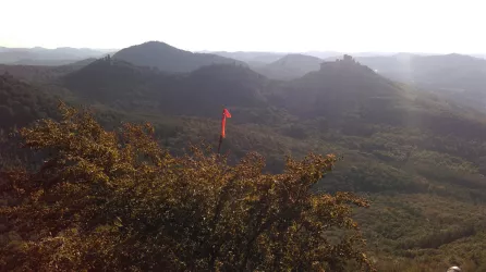 Ausblick auf Trifels, Anebos & Münz im Spätsommer
