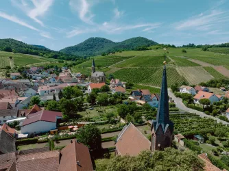 Birkweiler von oben
