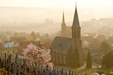 Birkweiler im Frühling