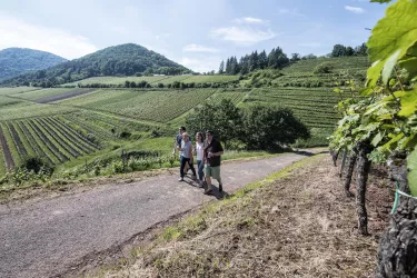 Wandern im Keschdebusch (© floriantrykowski.com, Pfalz.Touristik e.V)